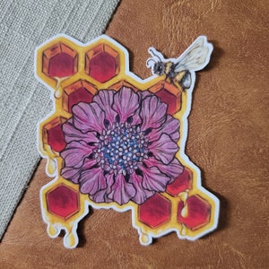 Dripping Honey Bee Sticker, pollinator decal with honeycomb and Scabiosa , Pincushion Flower