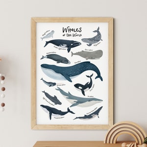 Wale der Welt Kinderzimmer Druck, Ozean Alphabet Tiere Kinderzimmer Wandkunst, Poster gerahmte Kunst.
