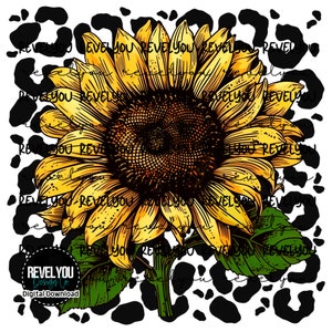 Leopard Sunflower - PNG DOWNLOAD