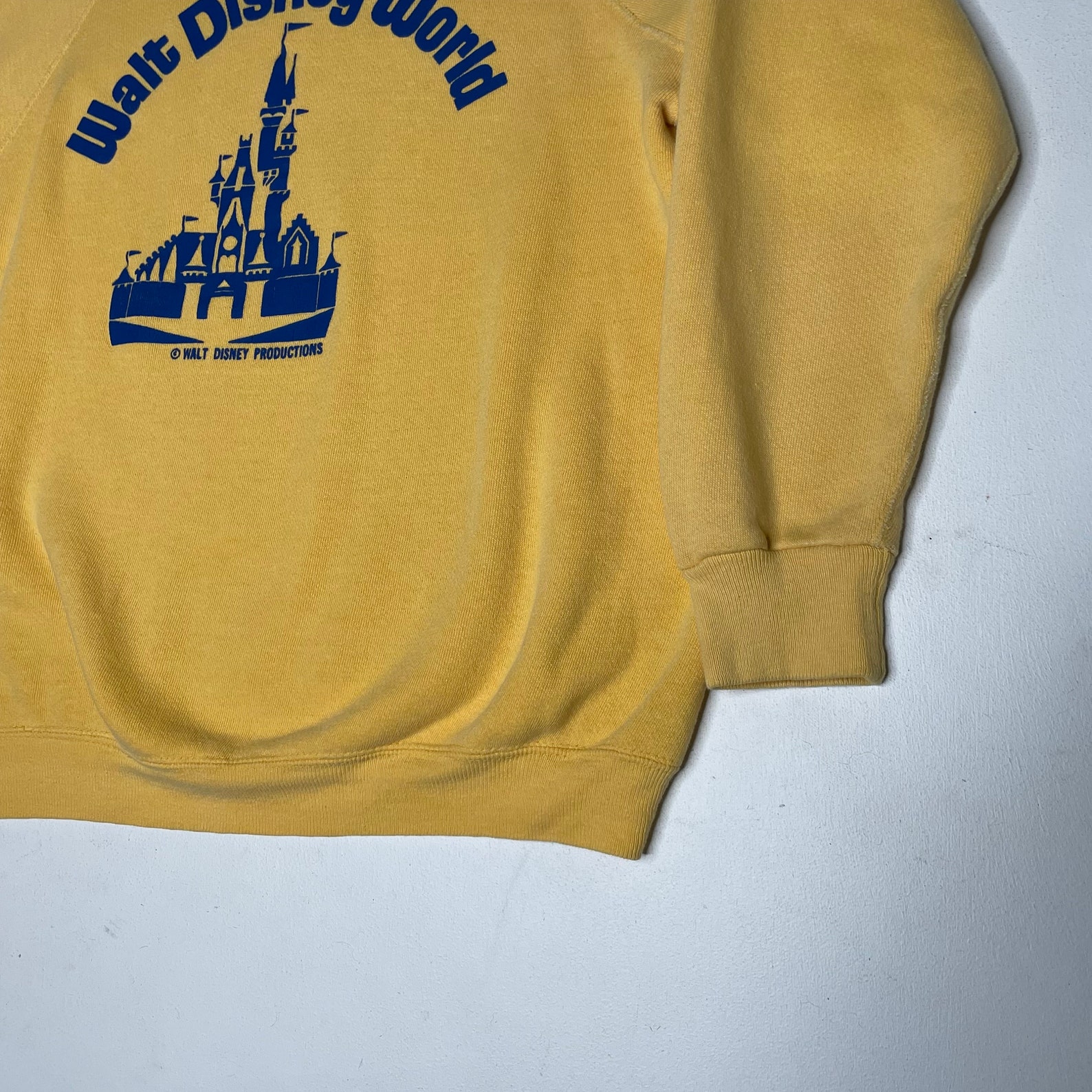 vintage disney world sweatshirt