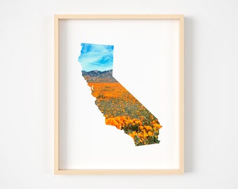 Wall Art, California Print, California Decor, California Wall Art, California Art, California Poster, Wildflowers, California poppy