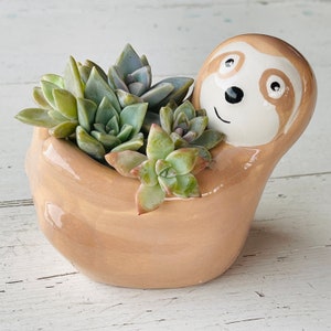 Succulent DIY Kit w/ Live Cuttings Choose your Animal Pot Kids Gift Box, Adult Kit, Office Desktop plant, or Employee Team Building Puffin