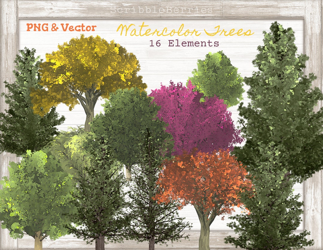 Watercolor Beautiful Trees Clip Art Tree Clip Art Weeping - Etsy New ...