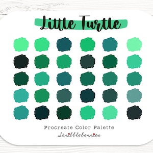 Little Turtle Procreate Palette, Colorful palette, Color Palette, Ipad Pro, Procreate Brushes, earthy color palette, procreate