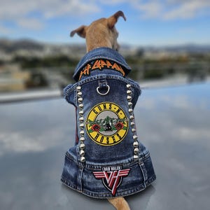 May include: A small dog wearing a denim jacket with patches. The jacket has silver studs, a Guns N' Roses patch, and a Van Halen patch. The dog is facing away from the camera, with a blurred background of a city and sky.