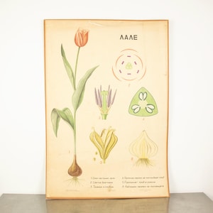 May include: A wooden sign with the words "Welcome to our home" in a handwritten font. The sign has a distressed finish, suggesting a rustic aesthetic, and is designed for display in a home's entrance.