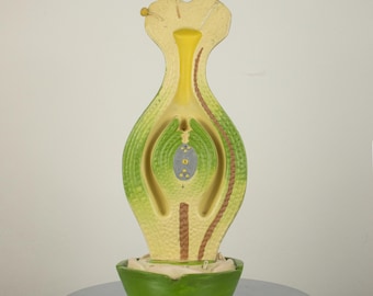 Vintage Cellulose Modell, Gynoeceum Anatomisches Modell