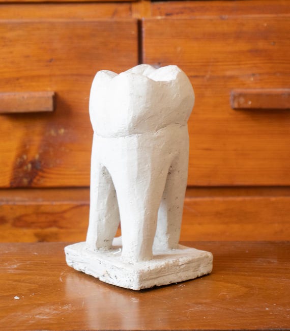 Large Molar Tooth Anatomy Model
