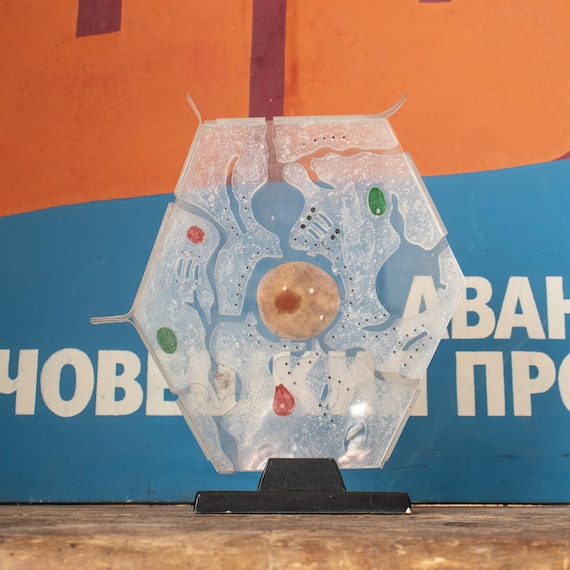 Vintage School Plant Cell Model