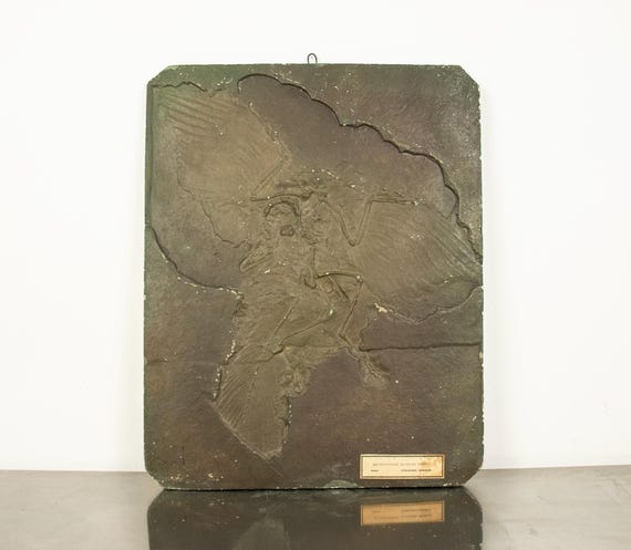 Vintage Archaeopteryx Fossil Plaster Model, Scientific Wall Relief