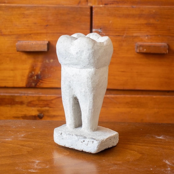 Vintage Plaster Tooth Model – Large Dental Teaching Model