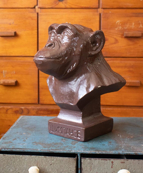 Vintage Bulgarian Chimpanzee Bust, Anthropology Teaching Aid