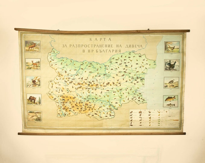 Vintage Map of the Distribution of the Hunted Animals of Bulgaria from 1957