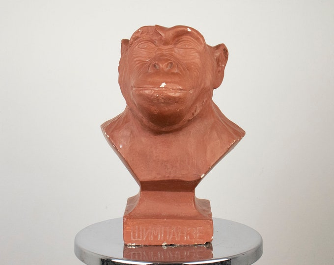 Vintage Plaster Bust of a Chimpanzee