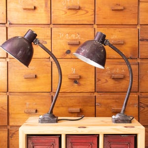 Könnte beinhalten: Ein Paar dunkelbraune Schreibtischlampen aus Metall mit geschwungenen Hälsen, verstellbaren kuppelförmigen Schirmen und weißen Innenseiten. Jede Lampe hat einen stabilen rechteckigen Sockel, ein Stromkabel und einen kleinen weißen Schalter.