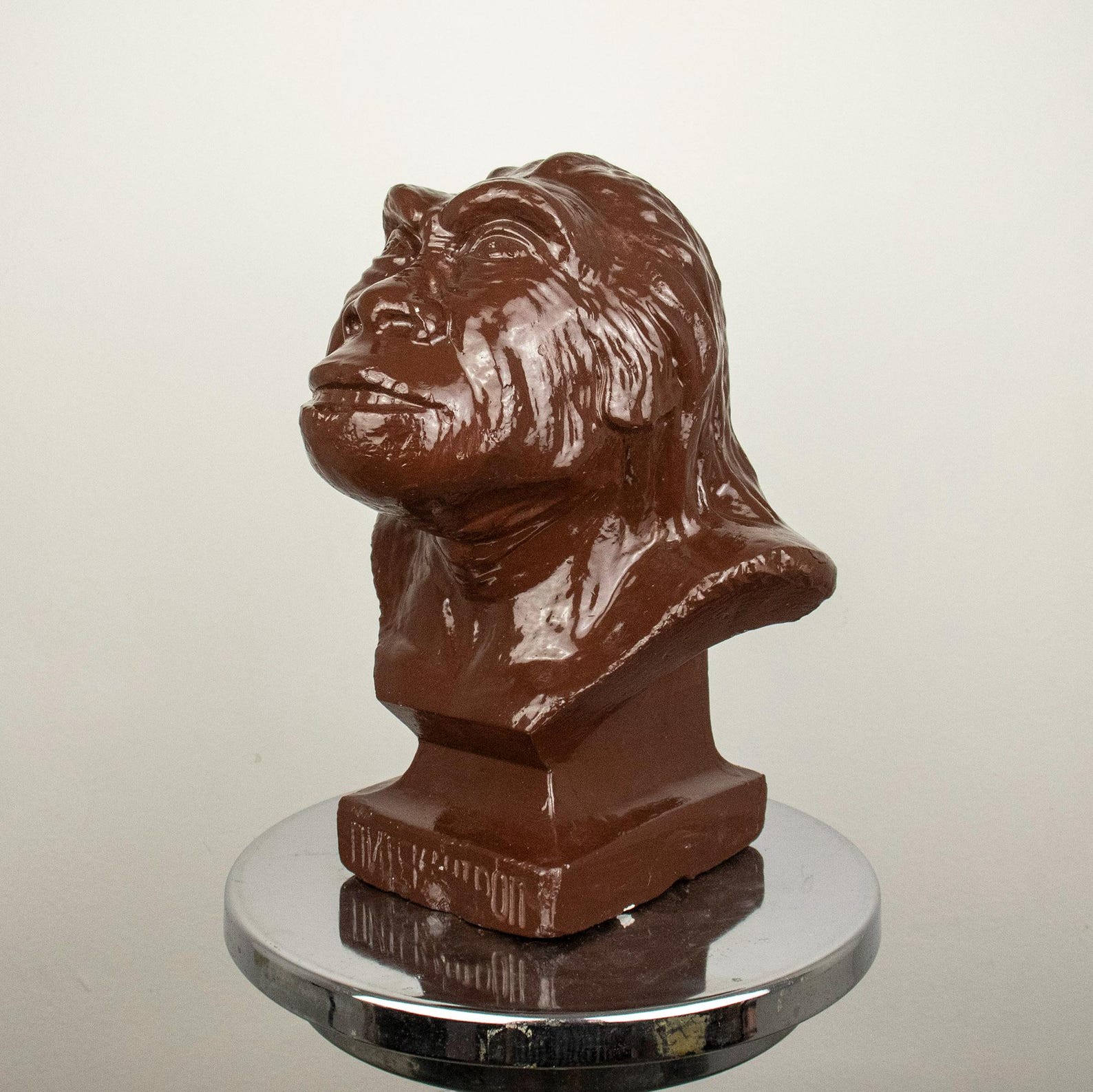Vintage Educational Plaster Bust of Pithecanthropus (java Man) – Unique ...