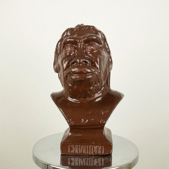 Rare Vintage Sinanthropus (Peking Man) Plaster Bust