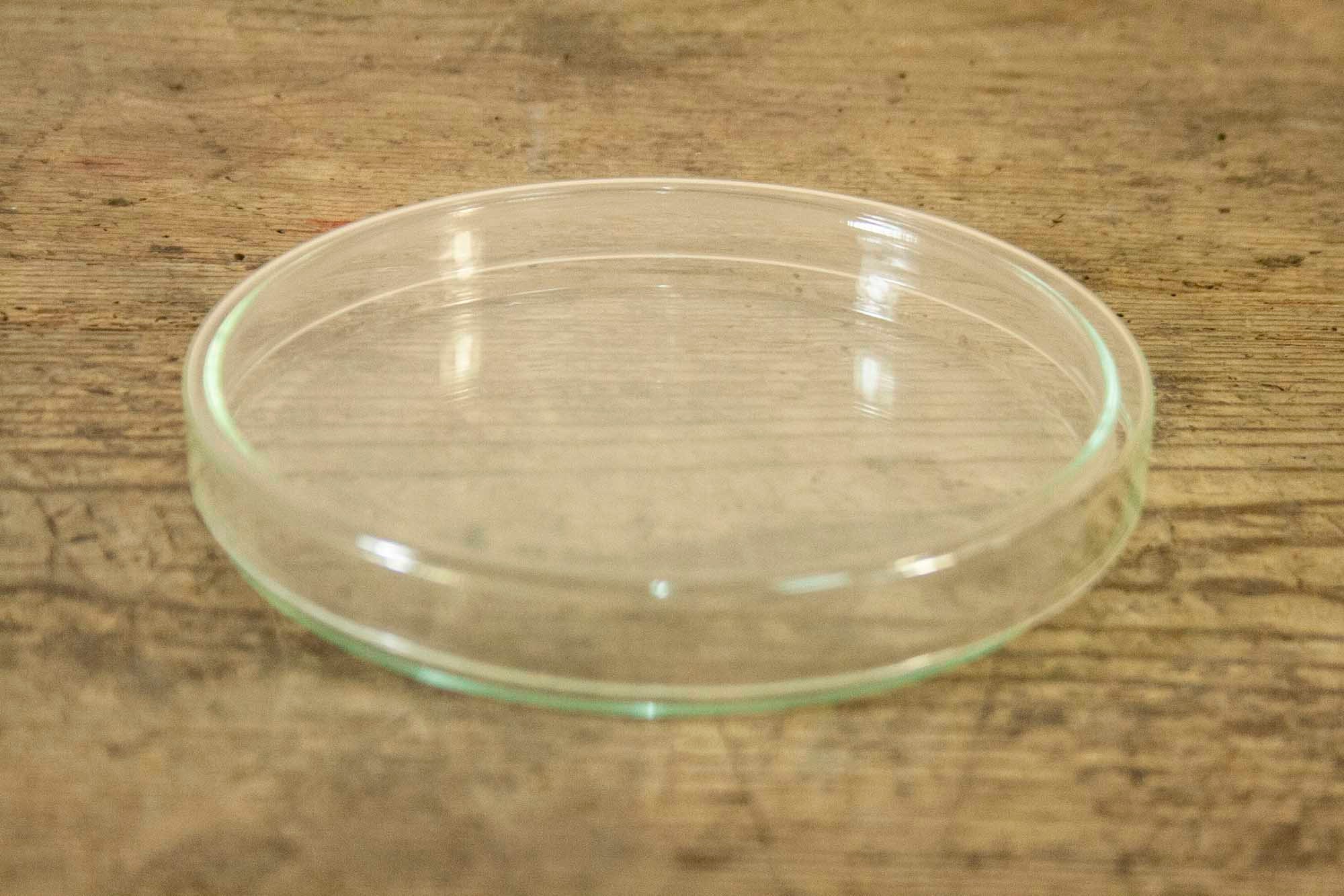 Set of 3 Large Vintage Petri Dishes Vintage Lab Petri Dishes Etsy
