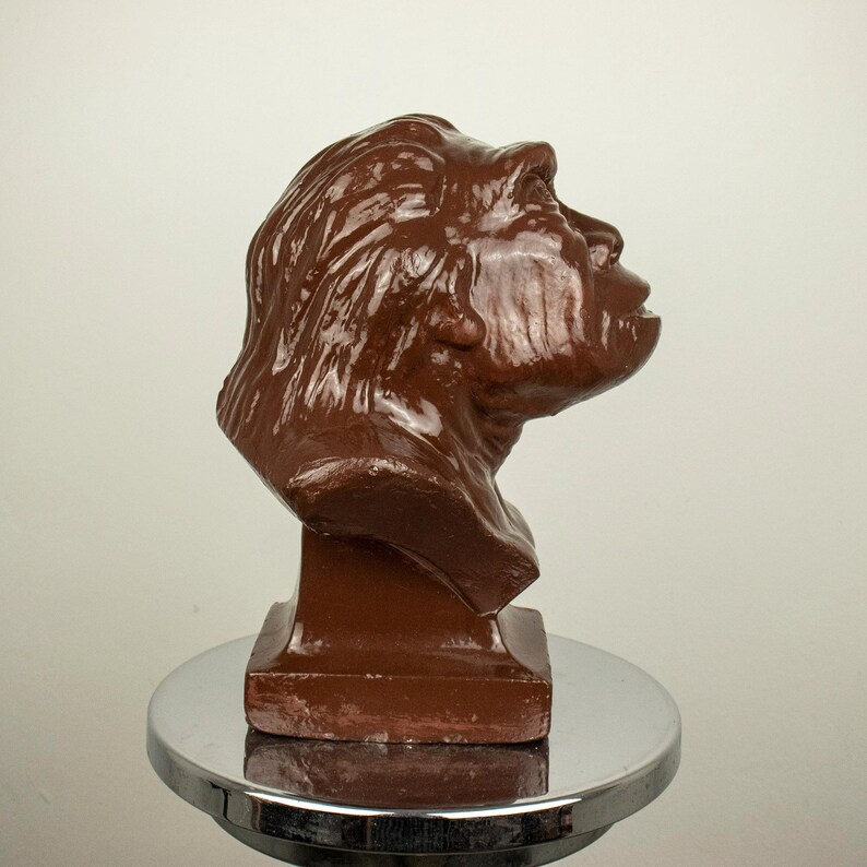 Vintage Educational Plaster Bust of Pithecanthropus (java Man) – Unique ...