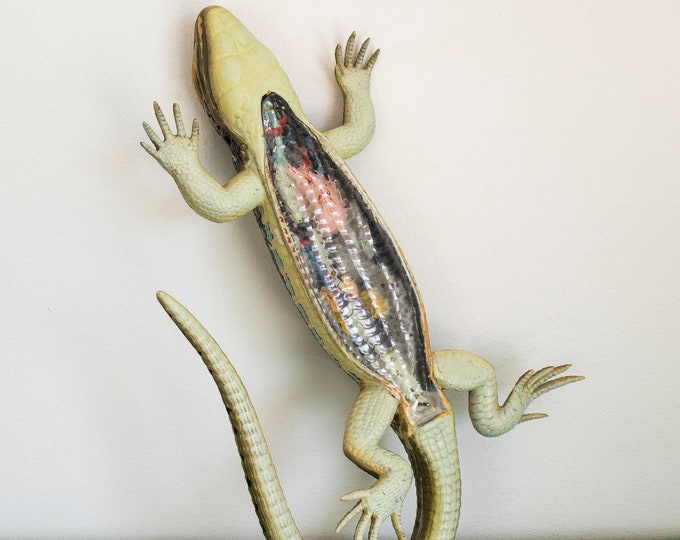 Vintage Celluloid Anatomy Model of a Lizard
