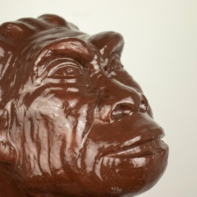 Vintage Educational Plaster Bust of Pithecanthropus (java Man) – Unique ...