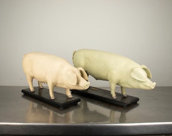 Vintage Bulgarian Landrace Pig Models, Agricultural Teaching Set 1960s