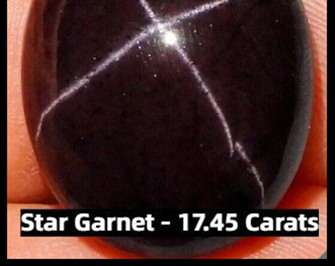 Earth Mined Star Garnet. 17.45 Carats. Round Cabochon. 4 Ray. Loose Gemstones for Making Jewellery. 15.2mm. Birthstone. Pendants.
