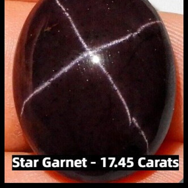 Earth Mined Star Garnet. 17.45 Carats. Round Cabochon. 4 Ray. Loose Gemstones for Making Jewellery. 15.2mm. Birthstone. Pendants.