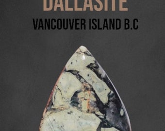30 Carat Genuine Dallasite Jasper. Pear Shape Cabochon. Gemstone  31.2 x 22.5 x 6 mm. Vancouver Island B.C. Sustainable Stone. Wire Wrapping