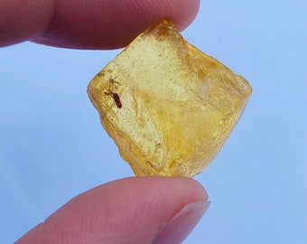 11.50 Carat Natural Baltic Amber Specimen With 3 Insect Inclusions. Loose Gemstones. Butter Amber Genuine Mined. 21 x 19.1 mm.
