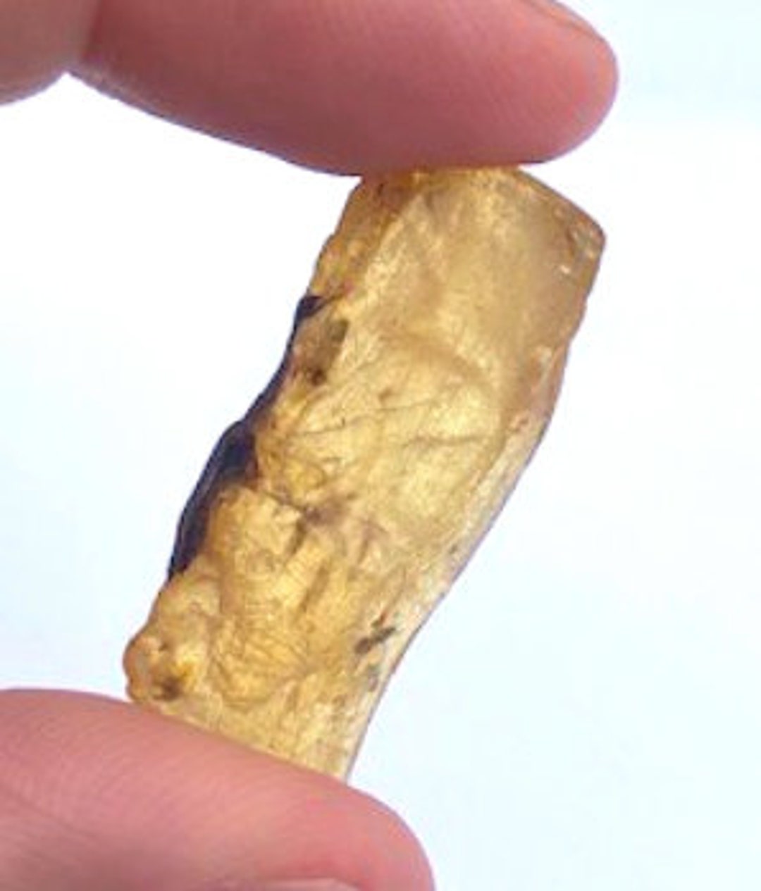 13.21 Carat Natural Baltic Amber Specimen With 6 Insect Inclusions ...
