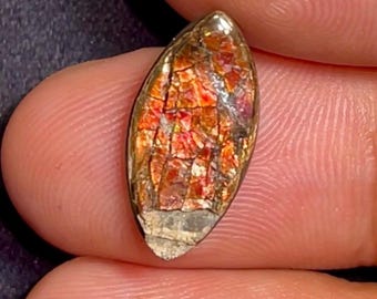 Discounted- 5.87 Carat Canadian Ammolite Cabochon 17.9 x 9.07 x 3.92 mm Genuine Polished and Untreated Loose Gemstone for Jewelry and Gifts