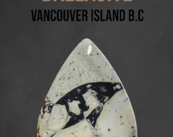 34.5 Carat Genuine Dallasite Jasper. Pear Shape Cabochon. Gemstone  31 x 22 x 6 mm. Vancouver Island B.C. Sustainable Stones. Wire Wrapping