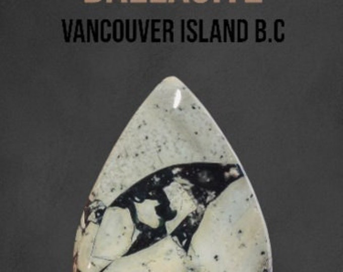 34.5 Carat Genuine Dallasite Jasper. Pear Shape Cabochon. Gemstone  31 x 22 x 6 mm. Vancouver Island B.C. Sustainable Stones. Wire Wrapping