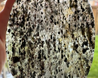 78.95 Carat Dendrite Agate Cabochon. 53.3 x 37.1 x 4.3 mm. Loose Gemstone for Jewelry Makers. Transparent. Genuine Earth Mined.