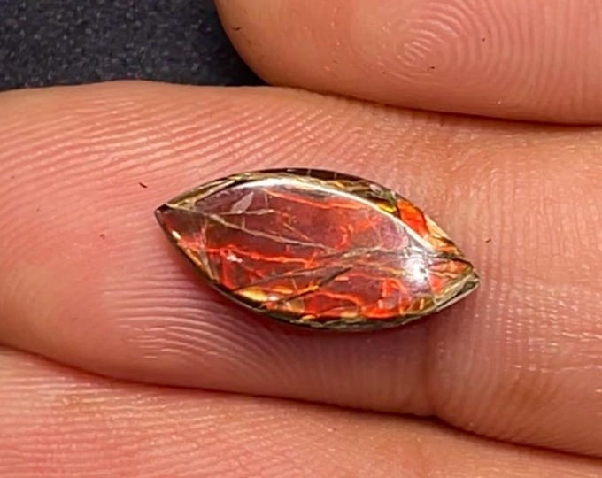 3.46 Carat Canadian Ammolite Cabochon. 15.990 x 7.620 x 3.320 mm Genuine Polished and Untreated Loose Gemstone for Jewelry and Collecting.