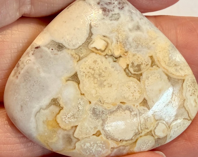 71.30 Carat Cobra Jasper Cabochon Palm Stone 100% Natural and Untreated 40.4 x  35.2 x 7.2 mm Loose Gemstone for Jewelry Making and Gifts.