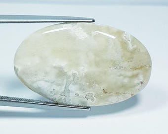 24.50 Carat White Color Coral Fossil Specimen Stone. Genuine Earth Mined Fossil. Untreated. Beige and White Stone. Collector Cabochon.