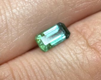 0.70 Carat Natural Tourmaline. Faceted Emerald Cut. Loose Gemstones for Jewelry. SI. Natural Untreated. 7.3 x 3.8 x 3 mm. Birthstone Gifts