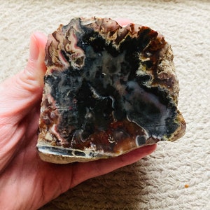 May include: A polished slice of agate with a swirling pattern of black, brown, white, and pink.