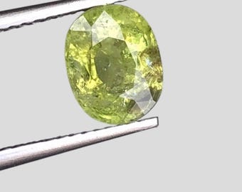 1.590 Carat Copper Bearing Olive Tourmaline Oval Cut Untreated 8.200 x 6.900 x 4.500 mm Mozambique Loose Gemstones for Jewelry. Earth Mined.