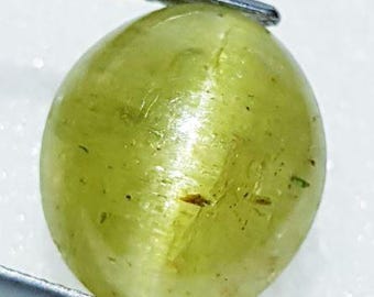 Genuine Mined 15.58 Ct Natural Apatite Yellow Cats Eye. Oval Cabochon for Making Jewellery. 15 x 12.4 x 10.4 mm. Untreated. Birthstone.