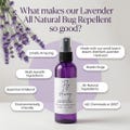 Natural Bug Spray | Lavender | Pet Friendly | Insect Repellent | Deet-Free | Aromatherapy | Mosquito Spray | Essential Oil | Handmade