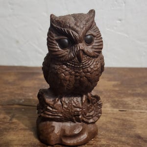 May include: A dark brown carved owl figurine perched on a textured branch base. The owl features detailed feather carvings, prominent ear tufts, and two smooth, dark, circular eyes. The entire piece is rendered in a monochromatic brown tone.