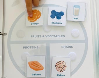 O Sistema Digestivo - Alimentação Saudável - Folhas de Exercícios Interativas - DOWNLOAD DE PDF DIGITAL - Educação Infantil