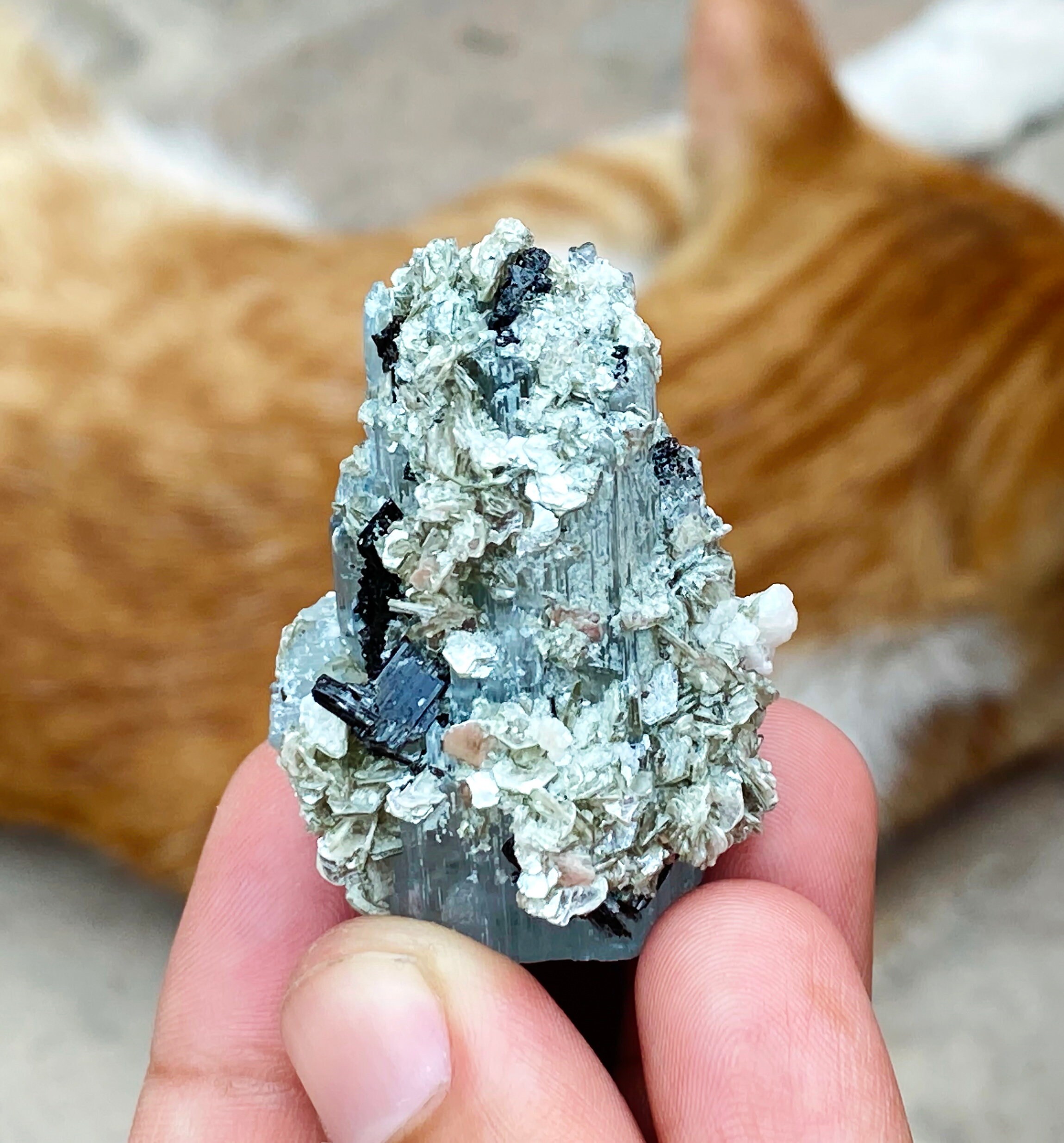 ブラックトルマリン入りアクアマリン結晶標本、アフガニスタン産、146