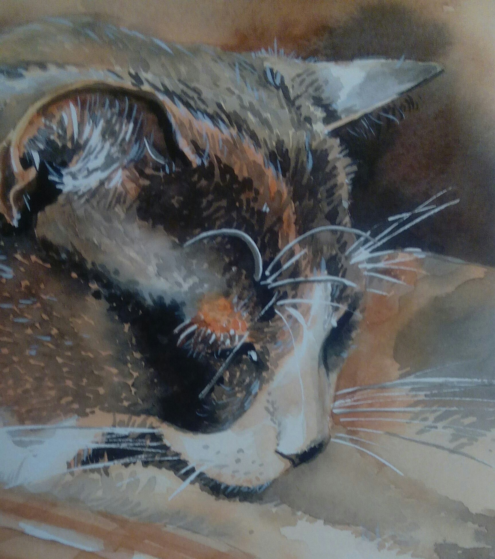 Mackerel Cat Custom portrait Watercolor Cat Art Pet Etsy