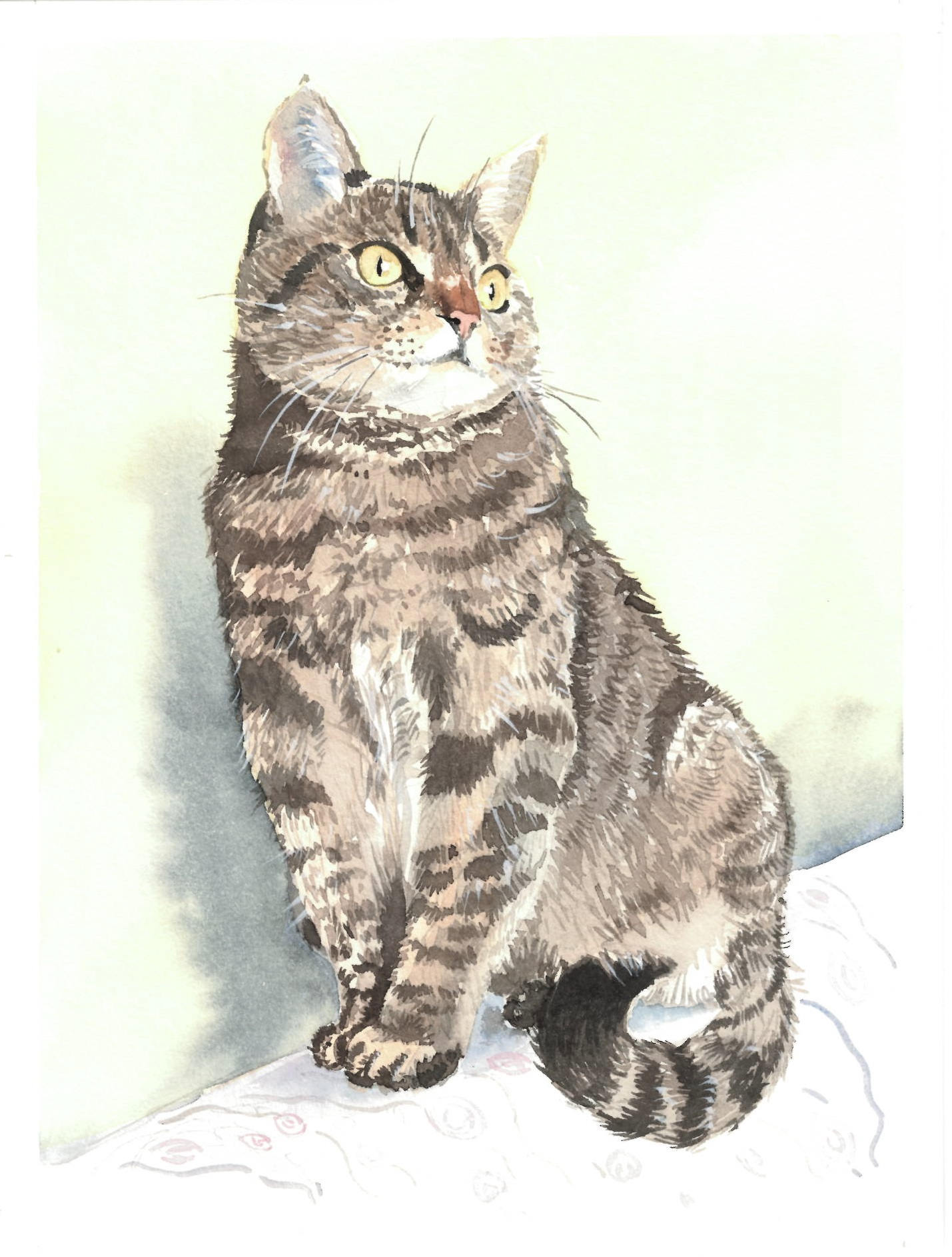 Mackerel Cat Custom portrait Watercolor Cat Art Pet Etsy