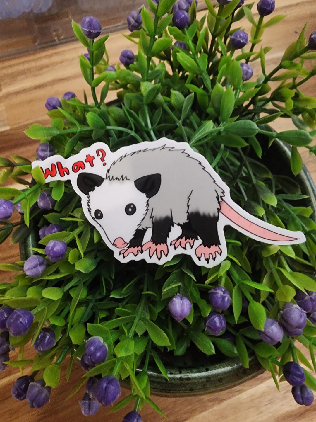 Rew Sticker What? Opposum Sticker - Etsy