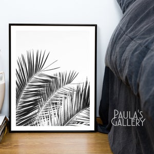 May include: Black and white photograph of palm tree leaves against a white background. The image is framed in a black frame.